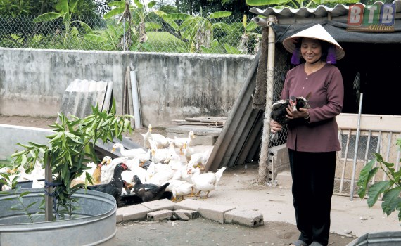 Tạo sinh kế cho người già neo đơn  (02/11/2021)